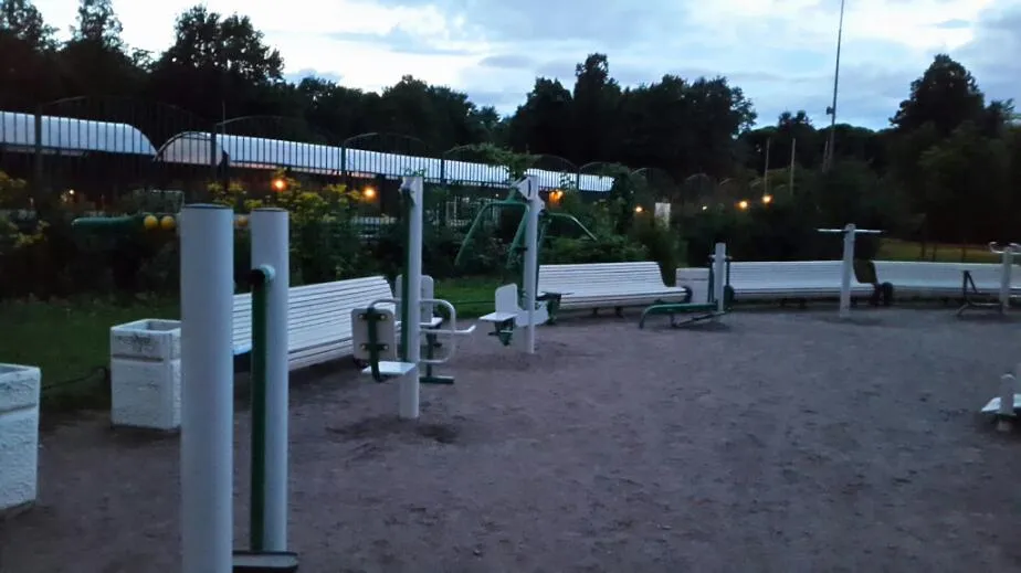 Wall Bars at Calisthenics Park at Кирочная улица, Санкт-Петербург – photo 2 of 3