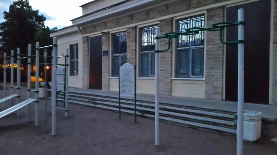 Monkey Bars at Calisthenics Park at Кирочная улица, Санкт-Петербург – photo 3 of 3