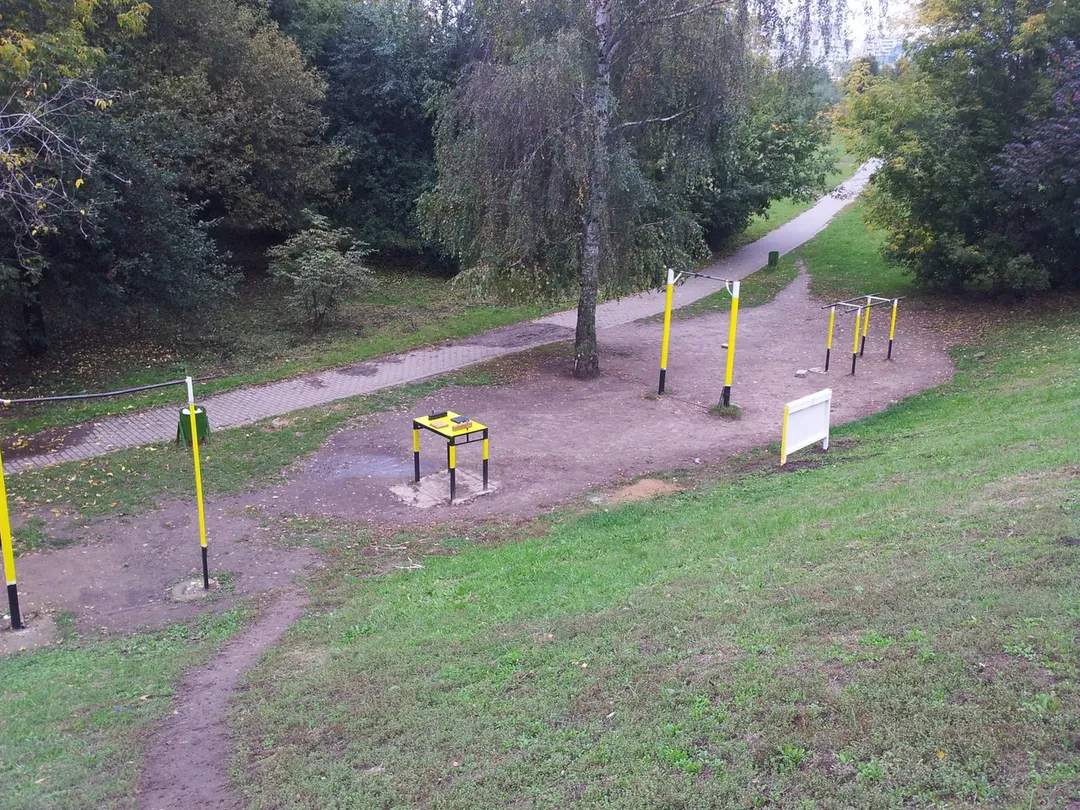Barra de Dominadas en Calisthenics Park at улица Барышиха, Москва – foto 1 de 1
