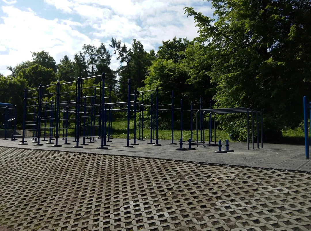 Maniglie per piegamenti presso Calisthenics Park at Набережный проспект, Петрозаводск – foto 2 di 6