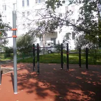 Calisthenics Park at Проектируемый проезд № 6137, Москва - thumbnail 2