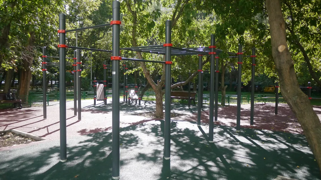 Wall Bars at Calisthenics Park at Проектируемый проезд № 6137, Москва – photo 8 of 8