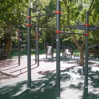 Calisthenics Park at Проектируемый проезд № 6137, Москва - thumbnail 8