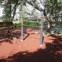 Calisthenics Park at Проектируемый проезд № 6137, Москва - thumbnail 7