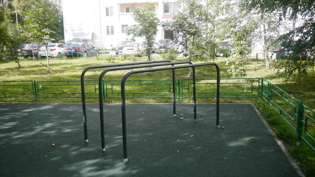 Pull Up Bar at Calisthenics Park at Проектируемый проезд № 6137, Москва – photo 5 of 8