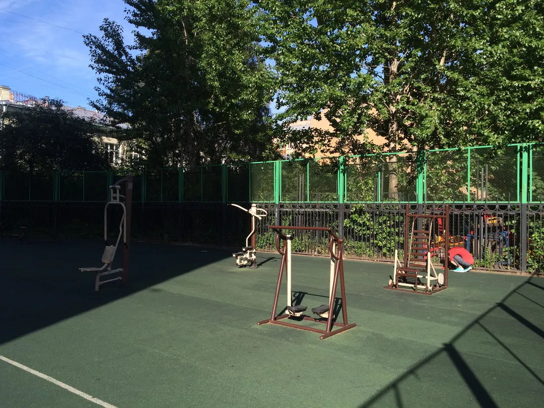 Air Walker at Calisthenics Park at улица Лизы Чайкиной, Санкт-Петербург – photo 4 of 4
