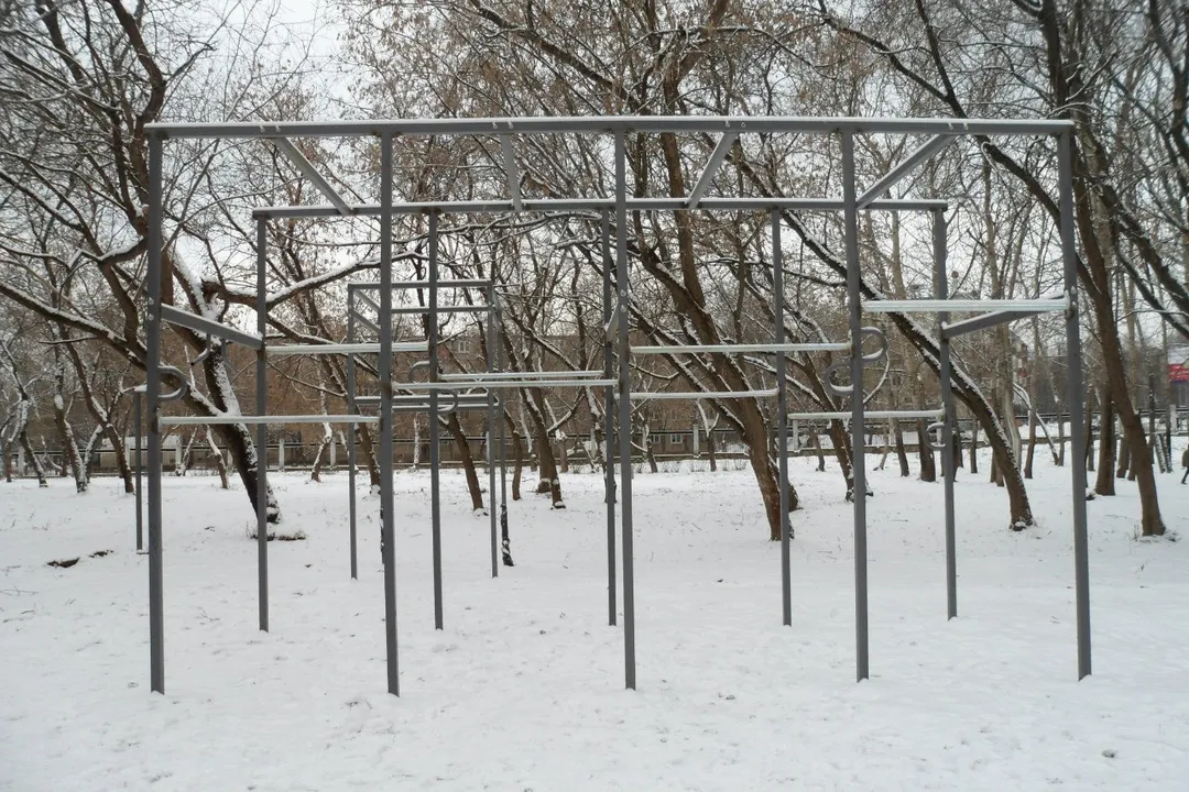Турник на площадке Calisthenics Park at улица Калинина, Киров – фото 1 из 2