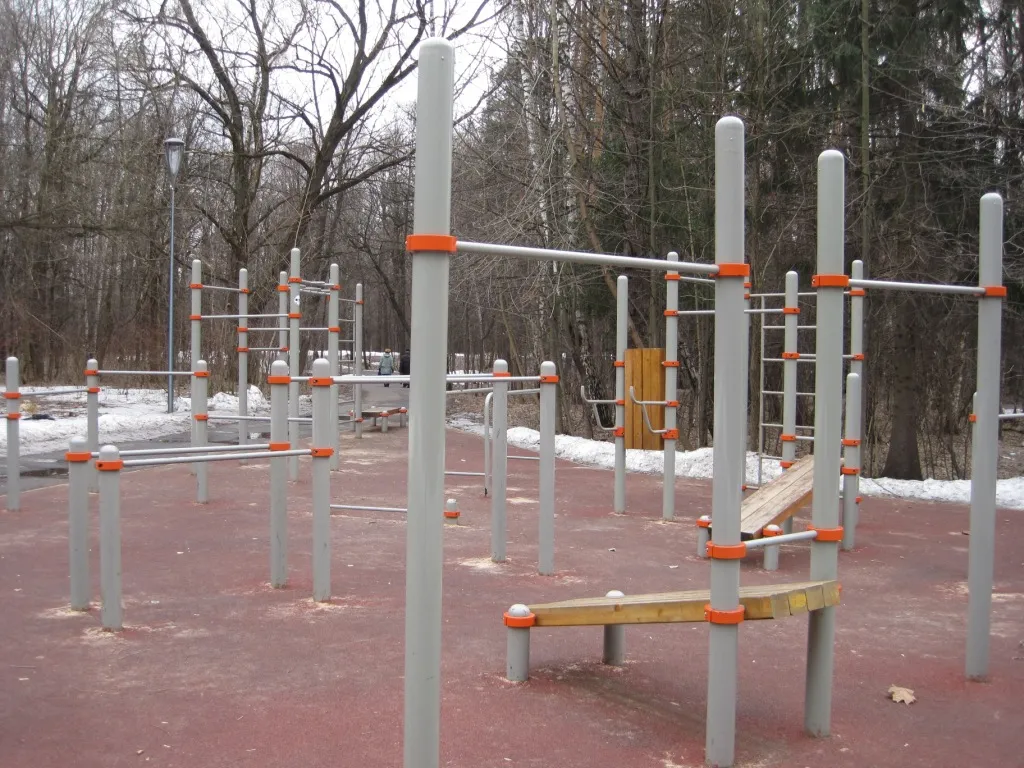Bară de tracțiuni la Calisthenics Park at аллея Большого Круга, Москва – fotografia 1 din 1