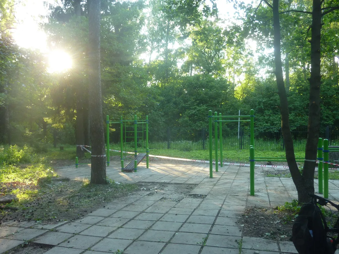 Monkey bar presso Calisthenics Park at улица Пирогова, Обнинск – foto 3 di 4