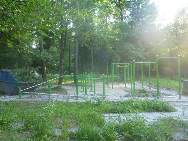 Calisthenics Park at улица Пирогова, Обнинск