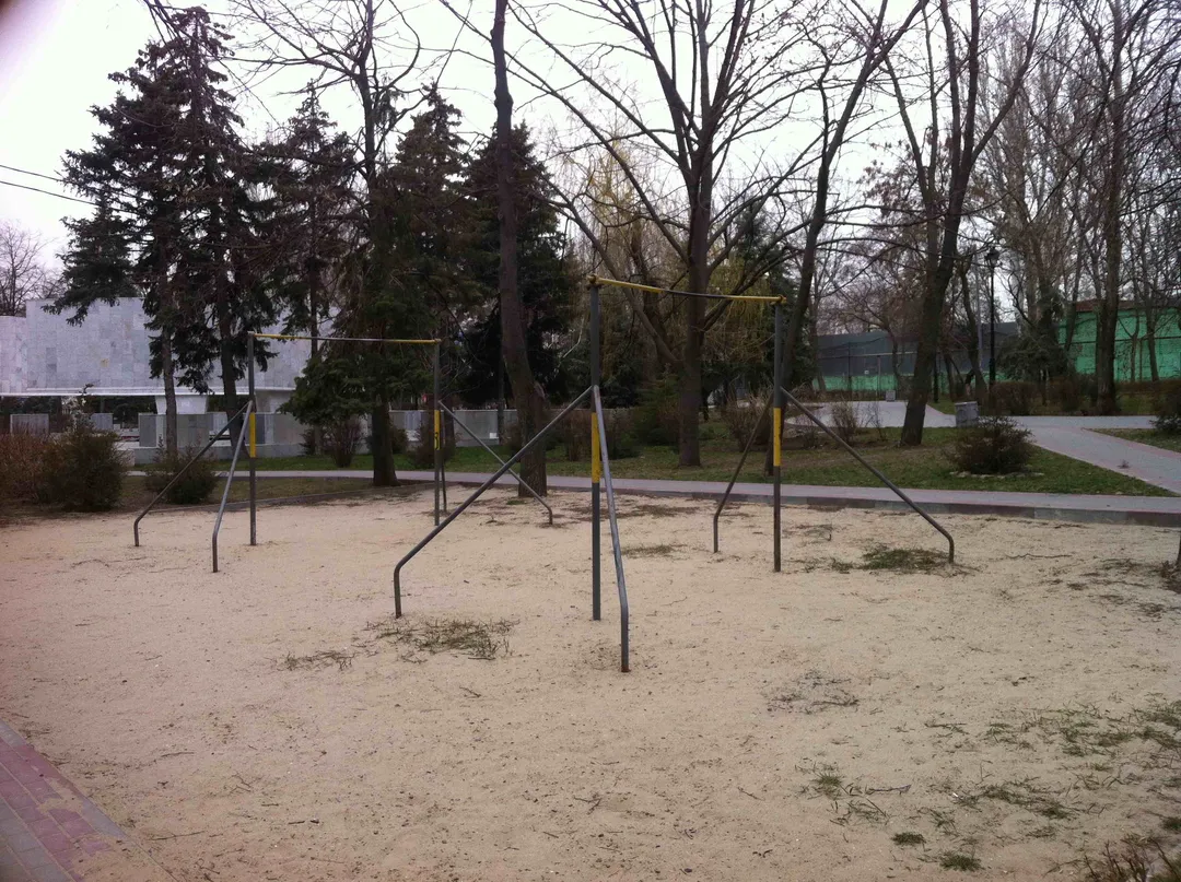 Barra de Dominadas en Calisthenics Park at площадь Толстого, Ростов-на-Дону – foto 3 de 5