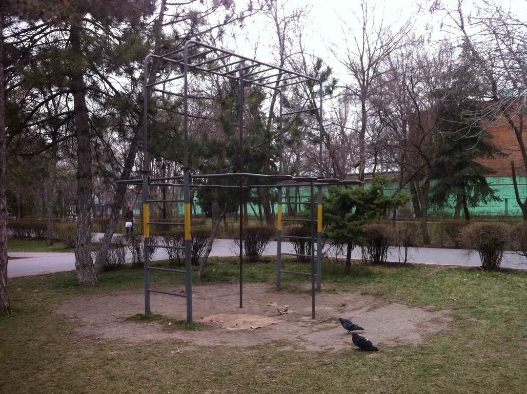 Barras de Mono en Calisthenics Park at площадь Толстого, Ростов-на-Дону – foto 2 de 5