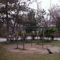Calisthenics Park at площадь Толстого, Ростов-на-Дону - thumbnail 2