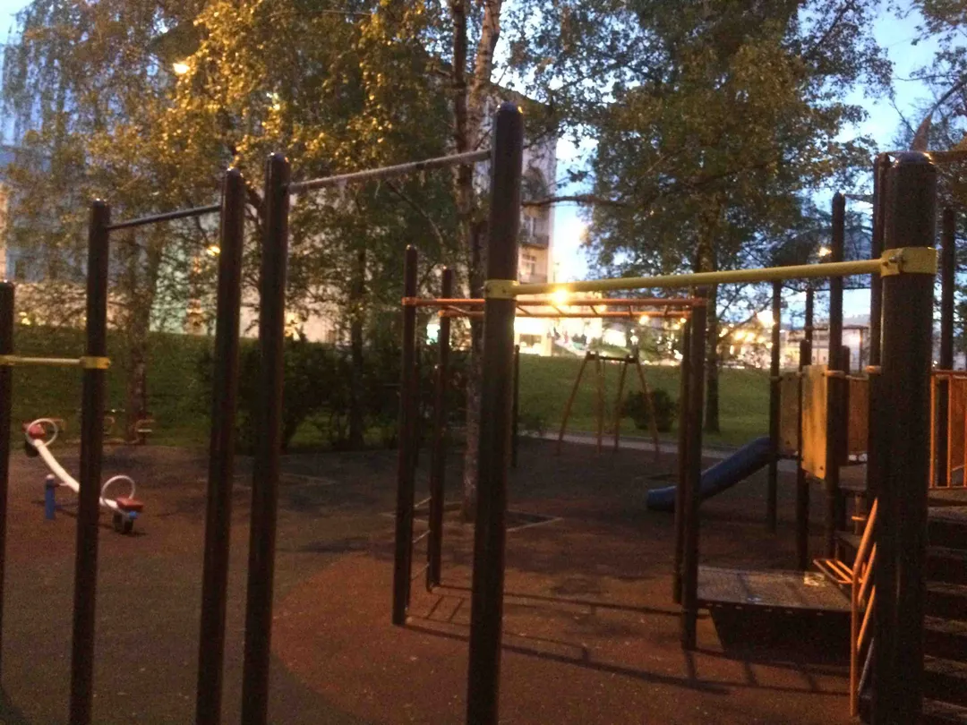 Barre de traction à Calisthenics Park at улица Волхонка, Москва – photo 1 sur 1