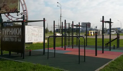 Monkey bar presso Calisthenics Park at FlipFly, Мытищи – foto 4 di 7