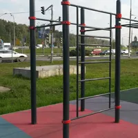 Calisthenics Park at FlipFly, Мытищи - thumbnail 2