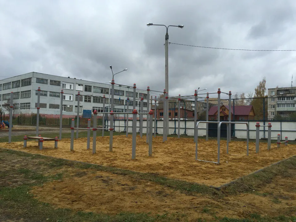 Barres de singe à Calisthenics Park at Угловая улица, Егорьевск – photo 2 sur 7