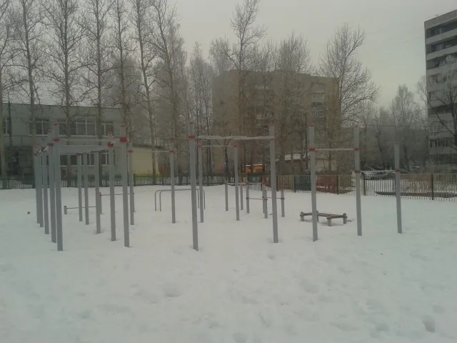 Espalier à Calisthenics Park at Угловая улица, Егорьевск – photo 5 sur 7