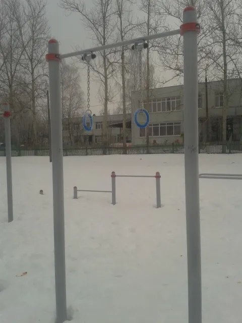 Barres de singe à Calisthenics Park at Угловая улица, Егорьевск – photo 7 sur 7