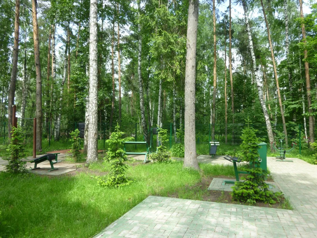 Sprossenwand bei Calisthenics Park at улица Калинина, Балашиха – Foto 16 von 17