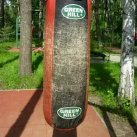 Calisthenics Park at улица Калинина, Балашиха - thumbnail 11