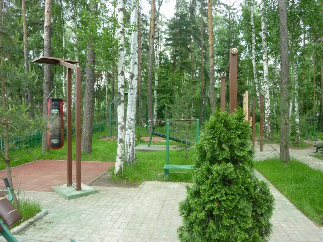 Sprossenwand bei Calisthenics Park at улица Калинина, Балашиха – Foto 4 von 17