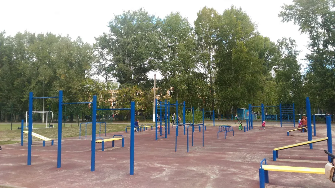 Monkey Bars la Calisthenics Park at улица Батыршина, Казань – fotografia 4 din 5
