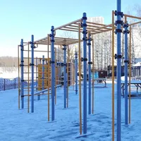 Calisthenics Park at улица Чайковского, Химки - thumbnail 2