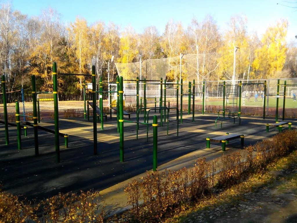Wall Bars at Calisthenics Park at Волейбольная площадка, Тула – photo 2 of 2