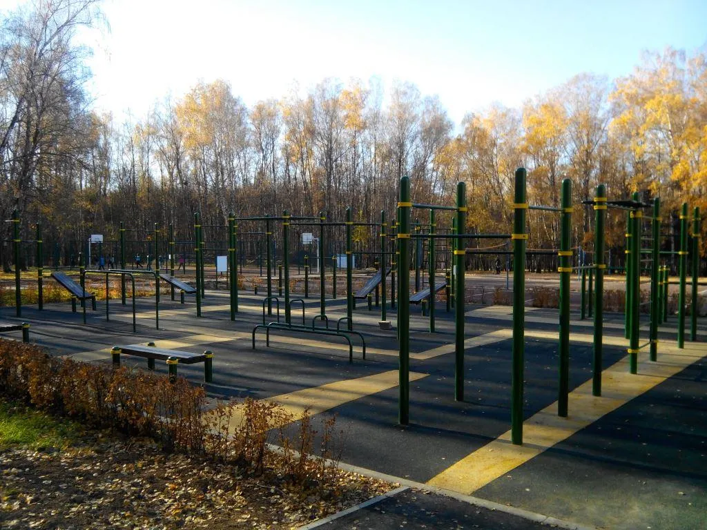 Parallel Gym Bars at Calisthenics Park at Волейбольная площадка, Тула – photo 1 of 2