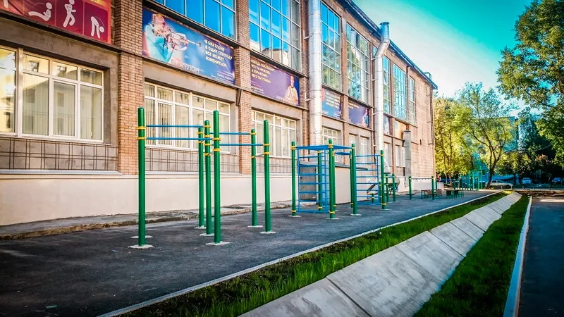 Wall Bars at Calisthenics Park at Дом Спорта УГГУ, Екатеринбург – photo 8 of 8