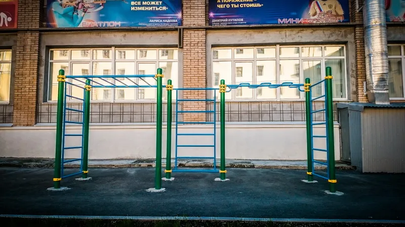 Monkey Bars at Calisthenics Park at Дом Спорта УГГУ, Екатеринбург – photo 6 of 8