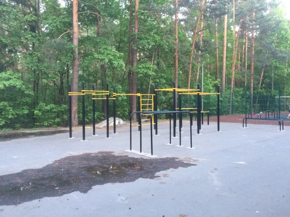 Monkey Bars at Calisthenics Park at Детский автогородок, Жуковский – photo 4 of 4