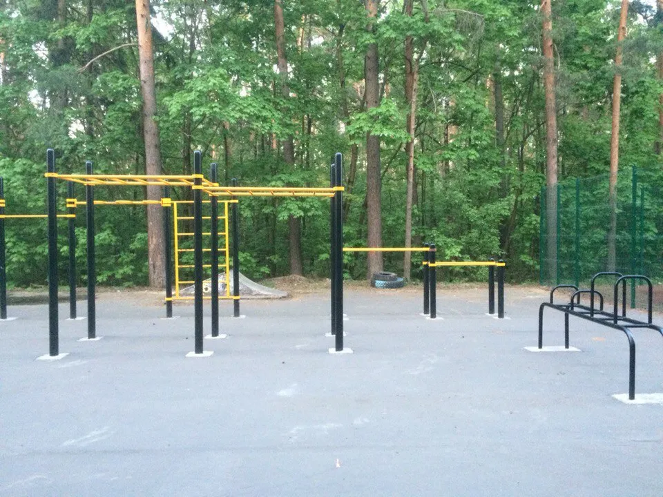 Wall Bars at Calisthenics Park at Детский автогородок, Жуковский – photo 2 of 4