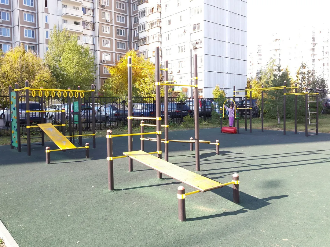Monkey Bars la Calisthenics Park at улица Барышиха, Москва #wp1630 – fotografia 2 din 2