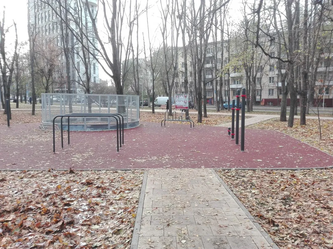 Barres de singe à Calisthenics Park at бульвар Генерала Карбышева, Москва – photo 3 sur 9
