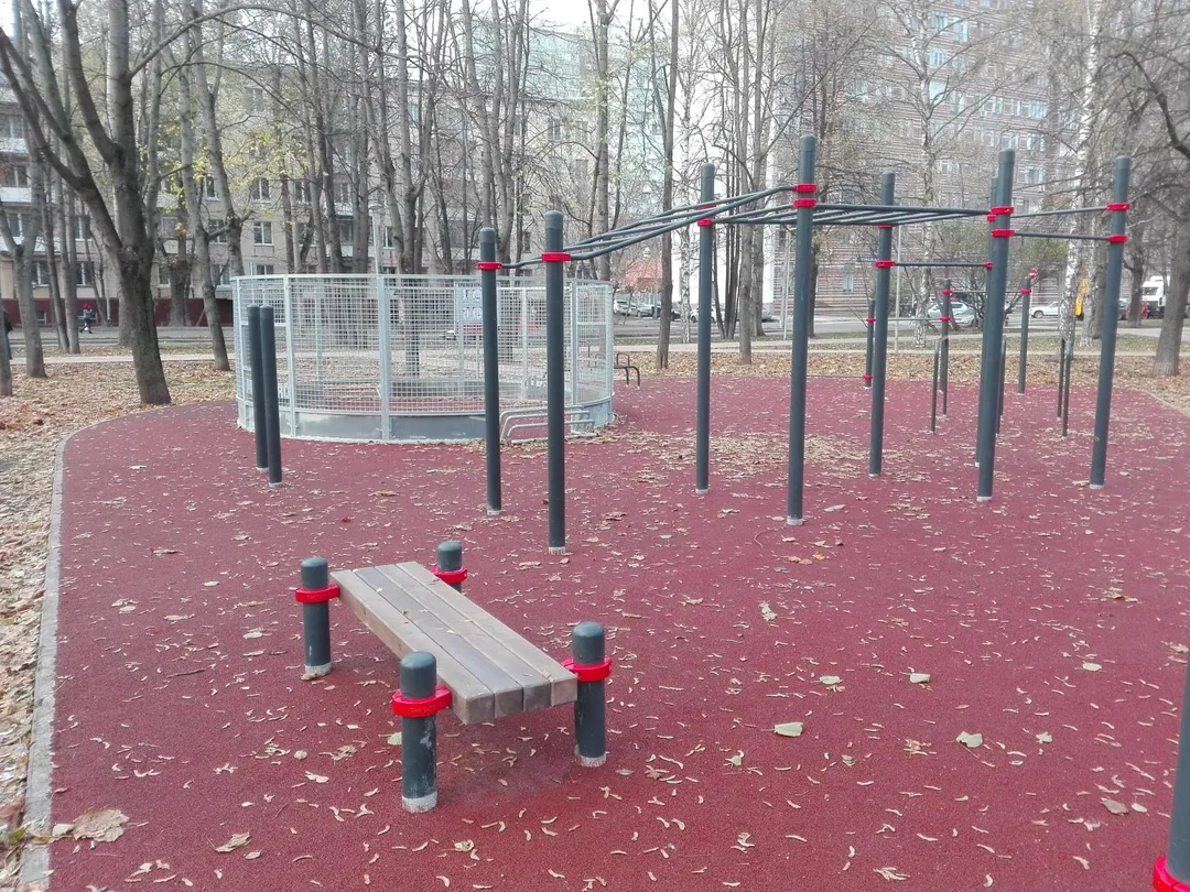 Barres de singe à Calisthenics Park at бульвар Генерала Карбышева, Москва – photo 7 sur 9