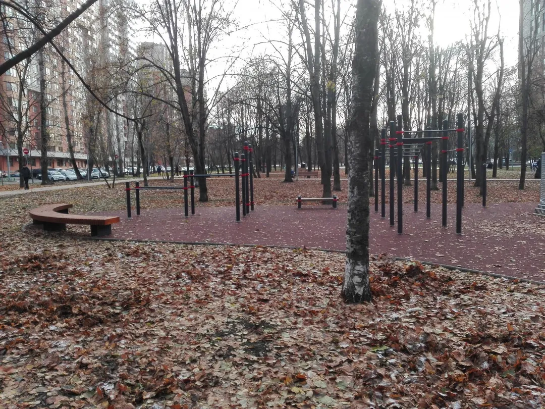 Barres parallèles à Calisthenics Park at бульвар Генерала Карбышева, Москва – photo 2 sur 9