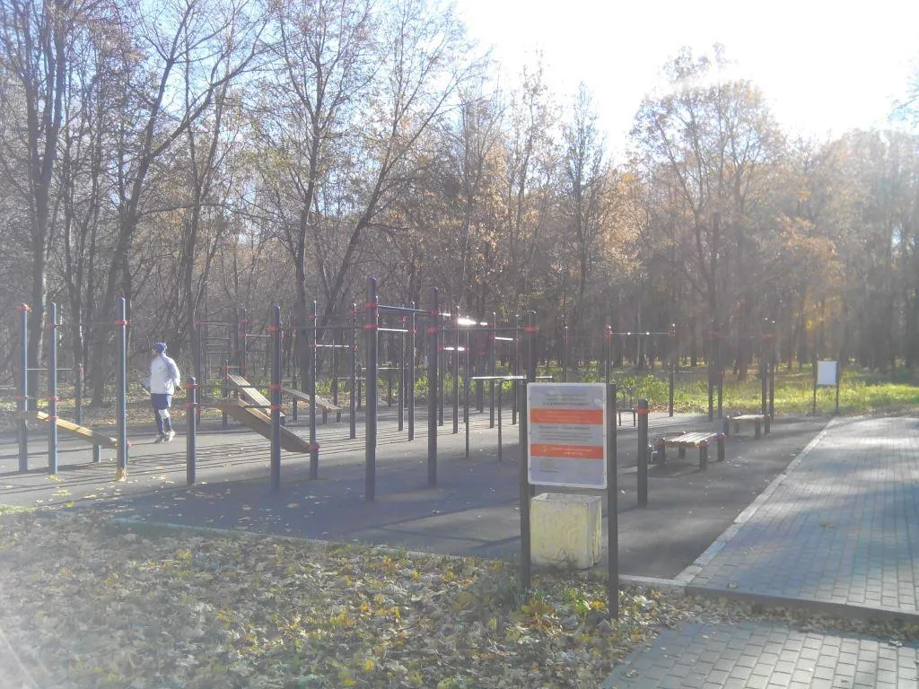 Wall Bars at Calisthenics Park at Первомайская улица, Тула – photo 2 of 2