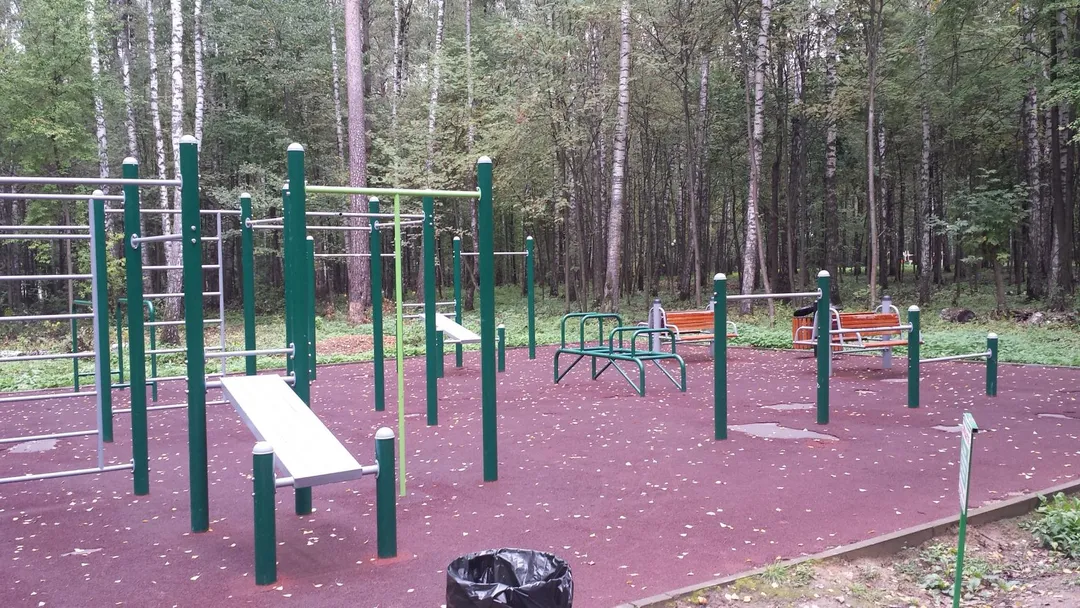 Maniglie per piegamenti presso Calisthenics Park at Аллея Славы, Ногинск – foto 2 di 4