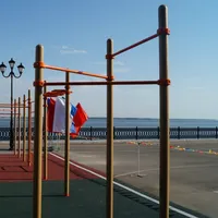 Calisthenics Park at улица Чернышевского, Саратов - thumbnail 2