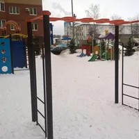 Calisthenics Park at Центральная улица, Химки - thumbnail 2