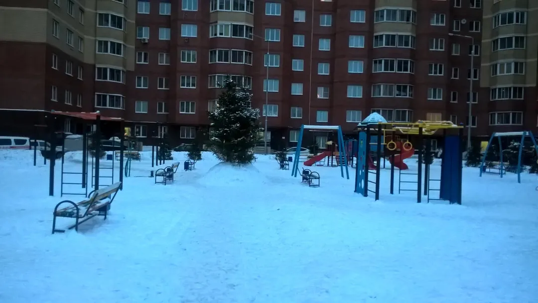 Pull Up Bar at Calisthenics Park at Центральная улица, Химки – photo 1 of 6