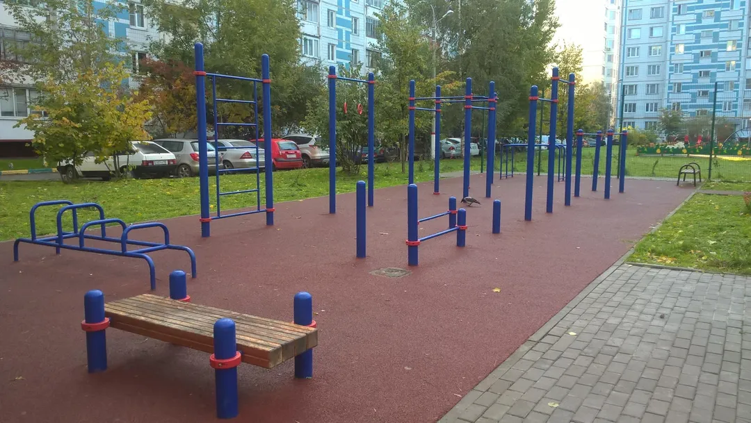 Barres parallèles à Calisthenics Park at 1-я Сестрорецкая улица, Химки – photo 1 sur 1