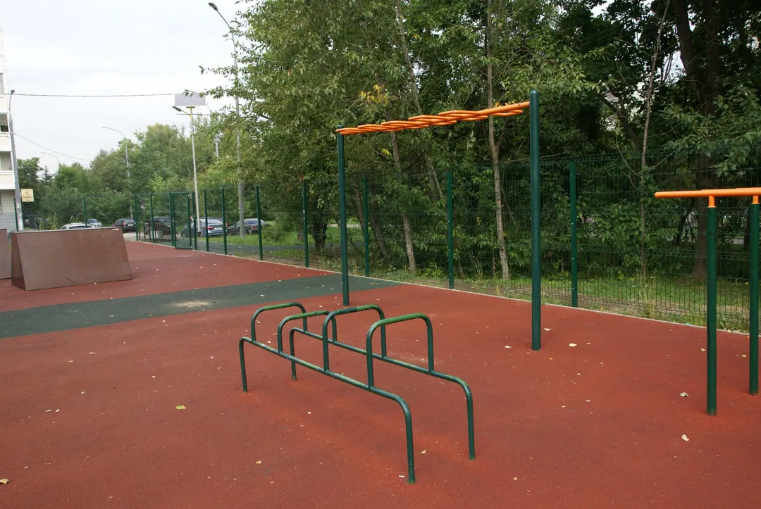 Воркаут-стовпи на майданчику Calisthenics Park at улица Лётчика Полагушина, Зеленоград – фото 7 з 10