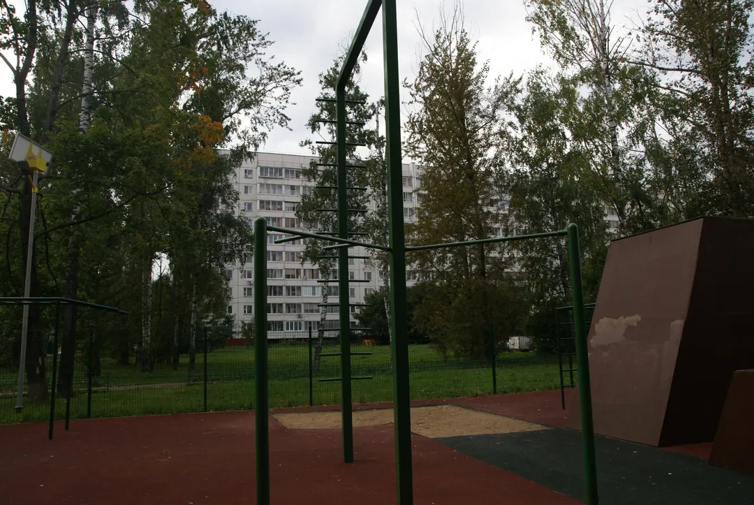 Бруси на майданчику Calisthenics Park at улица Лётчика Полагушина, Зеленоград – фото 9 з 10