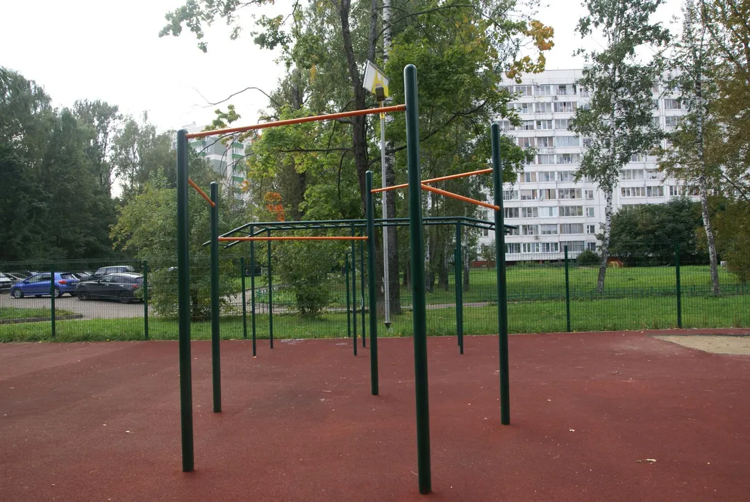 Лижний тренажер на майданчику Calisthenics Park at улица Лётчика Полагушина, Зеленоград – фото 8 з 10