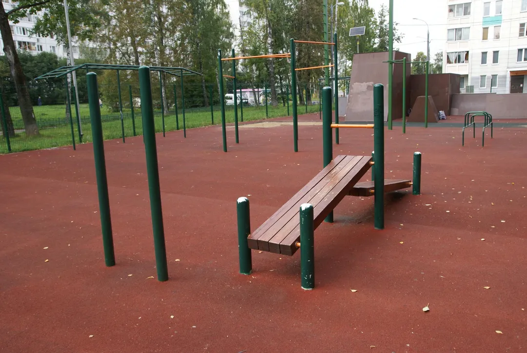 Шведська стінка на майданчику Calisthenics Park at улица Лётчика Полагушина, Зеленоград – фото 2 з 10