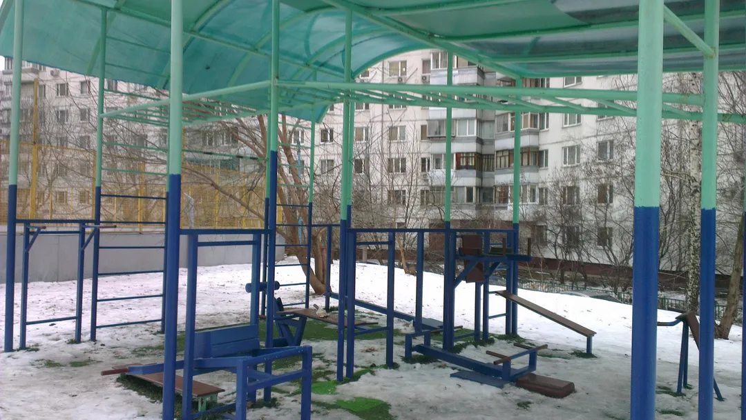 Spalier la Calisthenics Park at улица Крылатские Холмы, Москва – fotografia 6 din 6