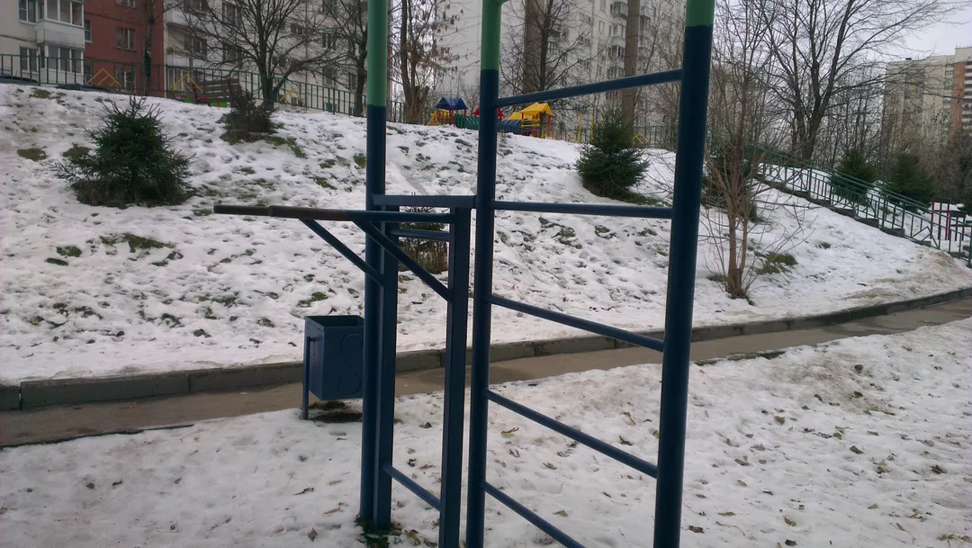 Spalier la Calisthenics Park at улица Крылатские Холмы, Москва – fotografia 2 din 6